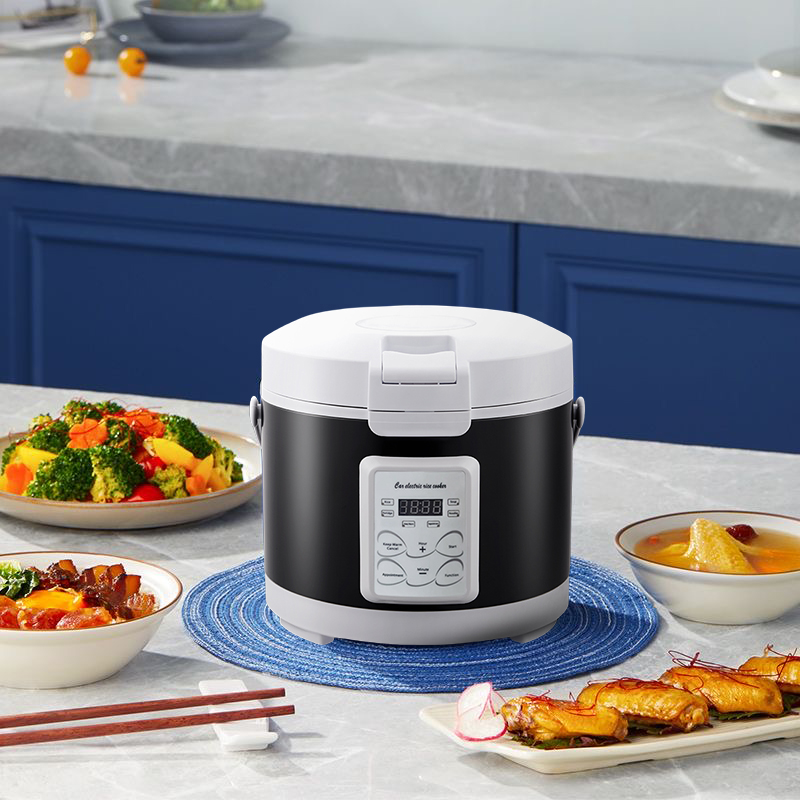 220V Mini Rice Cooker soup Ste - Camping Cooking Menu recension och pris